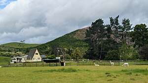 Wairakei Thermal Valley